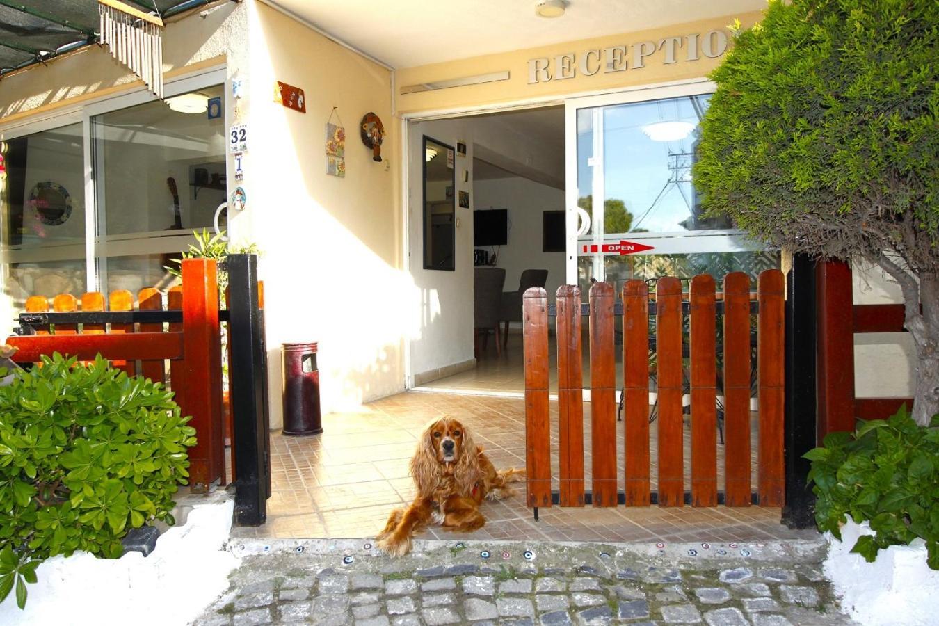 Bonapart Hotel Çeşme 외부 사진