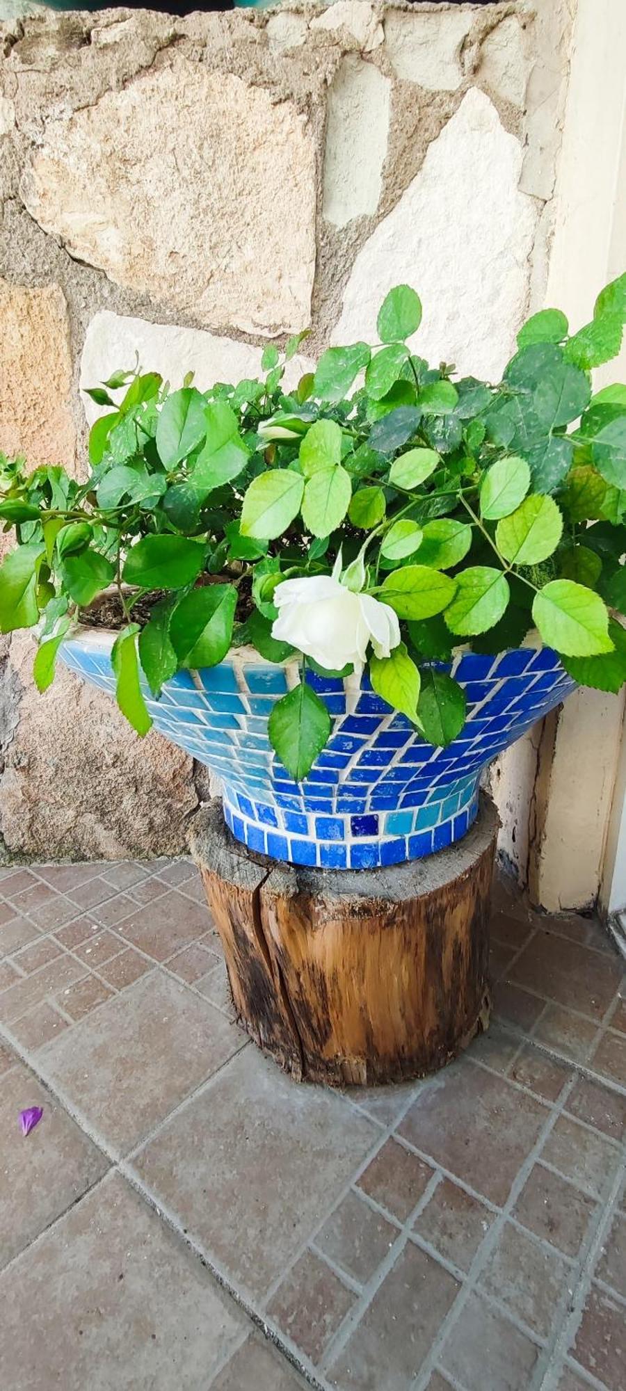 Bonapart Hotel Çeşme 외부 사진